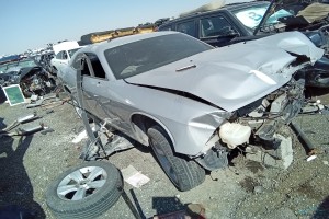 سيارة دودج جالينجر 2013