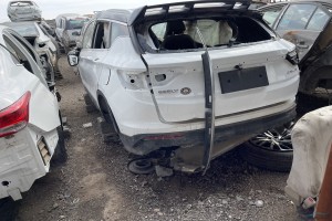 سيارة جيلي كولراي 2021