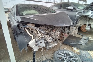 سيارة تشيري اريزو 6 2022
