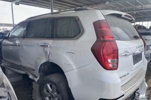 سيارة هافال هافال H9 2020