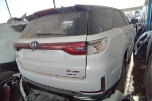 سيارة شانجان CS95 2019